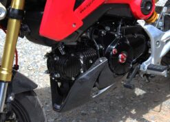 Carbon under cowling, Honda MSX125 GROM-1562