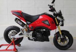 Carbon under cowling, Honda MSX125 GROM-1561