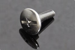 Bolt, Bodywork RC30